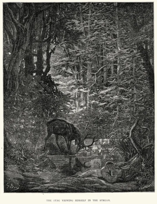 Framed Print : La Fontaines Fables - Stag viewing himself in the Stream Framed Print : La Fontaines Fables - Stag viewing himself in the Stream