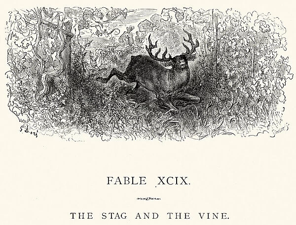 La Fontaines Fables - Stag and the Vine