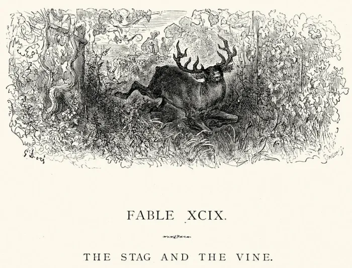 Framed Print : La Fontaines Fables - Stag and the Vine