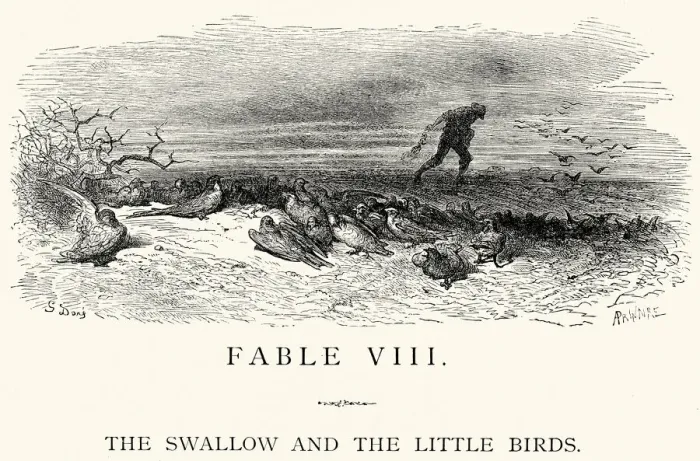 Framed Print : La Fontaines Fables - Swallow and the Little Birds Framed Print : La Fontaines Fables - Swallow and the Little Birds