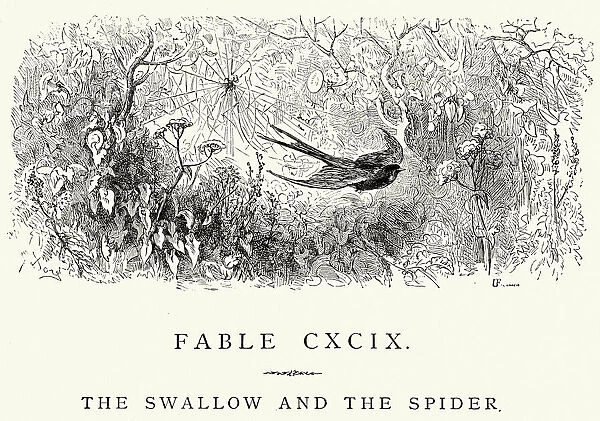 La Fontaines Fables - Swallow and the Spider
