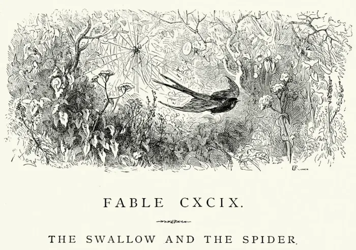 Framed Print : La Fontaines Fables - Swallow and the Spider Framed Print : La Fontaines Fables - Swallow and the Spider