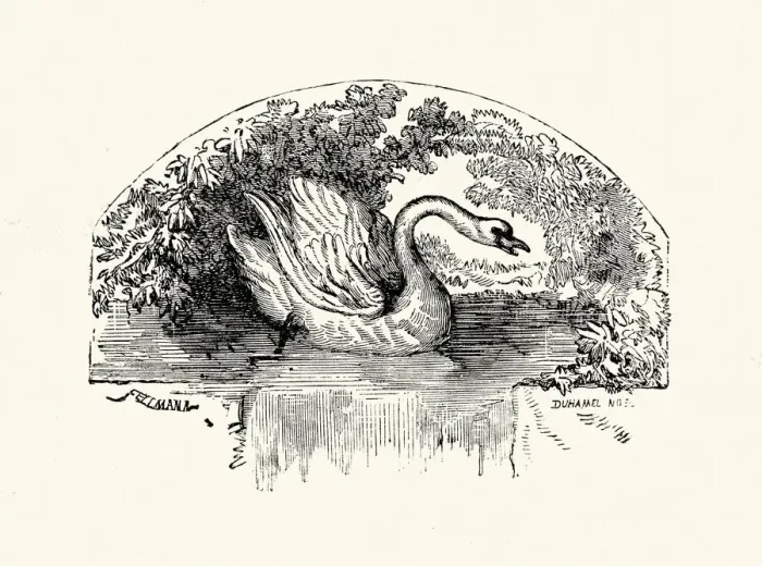 Framed Print : La Fontaines Fables - Swan and the Cook Framed Print : La Fontaines Fables - Swan and the Cook