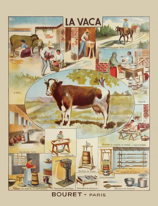 Framed Print : La Vaca. Spanish language teaching aid poster printed Framed Print : La Vaca. Spanish language teaching aid poster printed