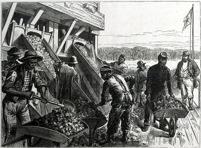 Framed Print : Laborers Washing The Phosphate Rock Framed Print : Laborers Washing The Phosphate Rock