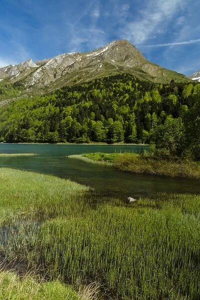 The Lac d Estaing, national park of Pyrenees, Hautes Pyrenees, France