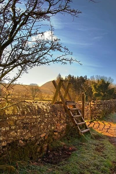 Ladder over stone wall, Lake District, Cumbria, England
