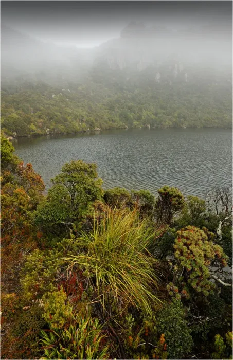 Framed Print : Ladies Tarn in mist, Hartz mountains national park, southern Tasmania Framed Print : Ladies Tarn in mist, Hartz mountains national park, southern Tasmania