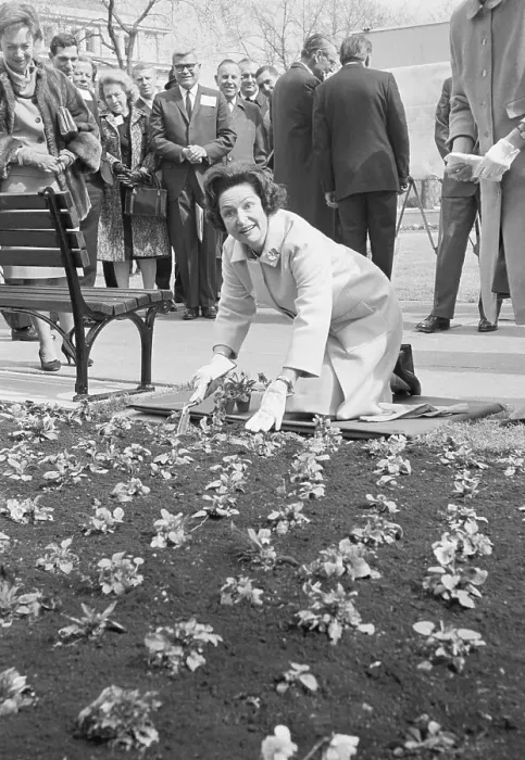 Framed Print : Lady Bird Johnson Planting Pansies Framed Print : Lady Bird Johnson Planting Pansies