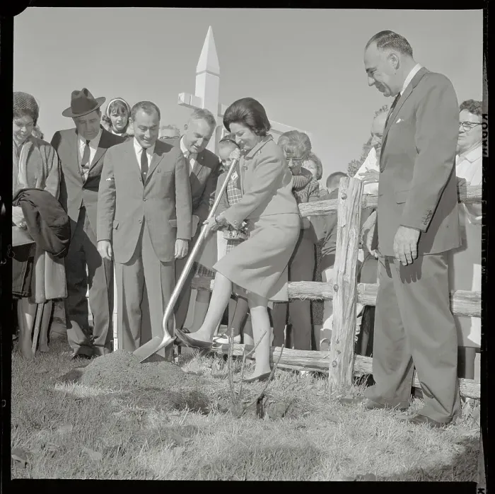 Framed Print : Lady Bird Johnson Planting Rose Framed Print : Lady Bird Johnson Planting Rose