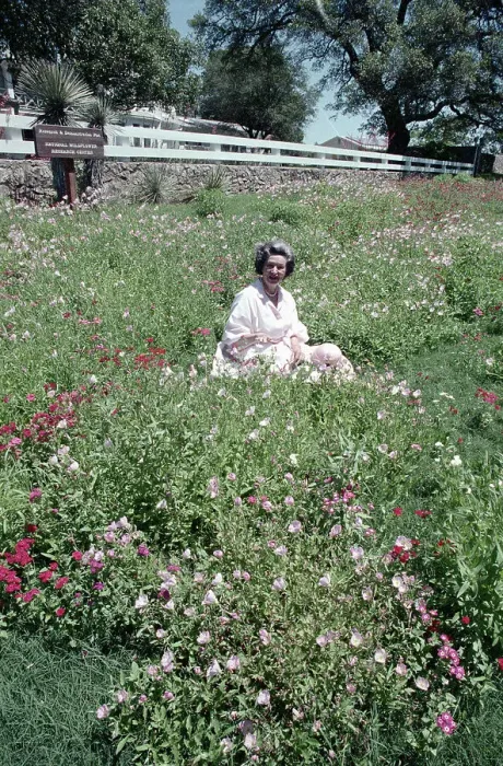 Framed Print : Lady Bird Johnson Sitting Among Flowers Framed Print : Lady Bird Johnson Sitting Among Flowers