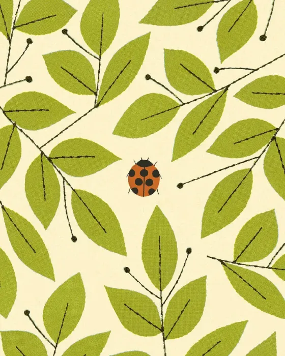 Framed Print : Ladybug and Leaves Framed Print : Ladybug and Leaves