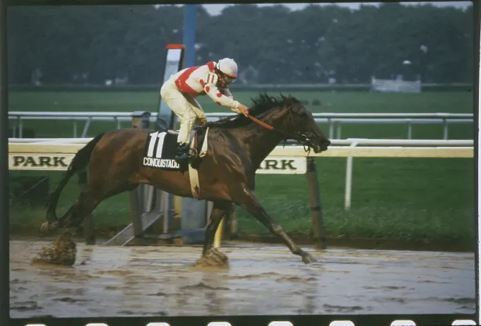 Framed Print : Laffit Pincay Jr. Riding at the Belmont Stakes Framed Print : Laffit Pincay Jr. Riding at the Belmont Stakes