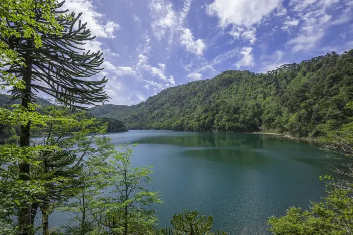 Framed Print : Lago Chico, Huerquehue National Park, Pucon, Araucania Region, Chile Framed Print : Lago Chico, Huerquehue National Park, Pucon, Araucania Region, Chile