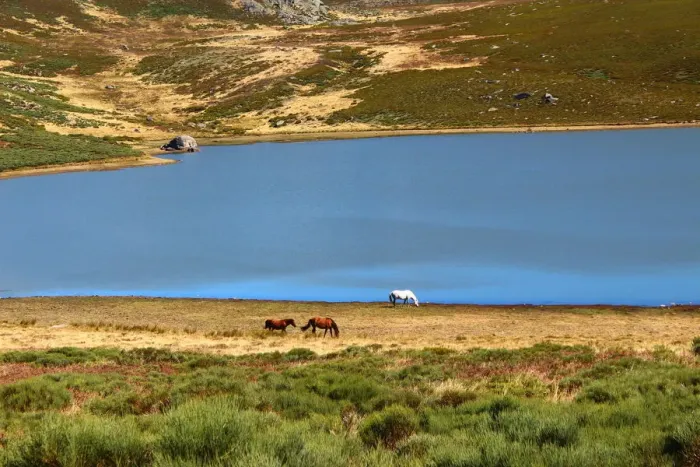 Framed Print : Laguna de los Peces in Sanabria Natural Park Framed Print : Laguna de los Peces in Sanabria Natural Park