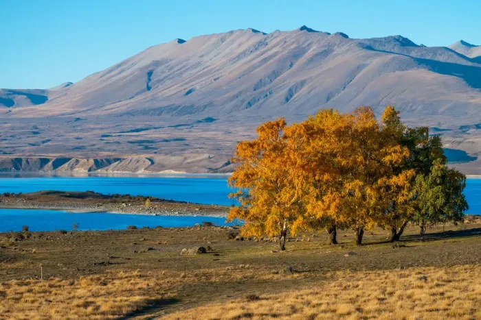 Framed Print : Lake Alexandrina, South Island, New Zealand Framed Print : Lake Alexandrina, South Island, New Zealand