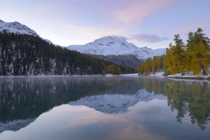 Framed Print : Lake Champfer with an autumnal coloured Larch -Larix- forest with Piz da la Margna at the rear, Pontresina, Grisons, Engadine, Switzerland, Europe Framed Print : Lake Champfer with an autumnal coloured Larch -Larix- forest with Piz da la Margna at the rear, Pontresina, Grisons, Engadine, Switzerland, Europe