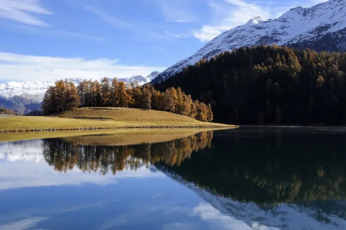 Framed Print : Lake Champfer with larch forest with autumnal colouring, St. Moritz, Engadine, Grisons, Switzerland, Europe Framed Print : Lake Champfer with larch forest with autumnal colouring, St. Moritz, Engadine, Grisons, Switzerland, Europe