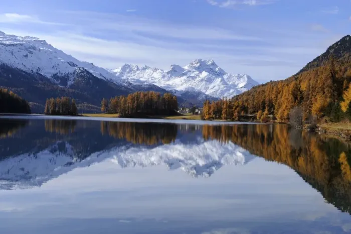 Framed Print : Lake Champfer with larch forest with autumnal colouring, St. Moritz, Engadine, Grisons, Switzerland, Europe Framed Print : Lake Champfer with larch forest with autumnal colouring, St. Moritz, Engadine, Grisons, Switzerland, Europe