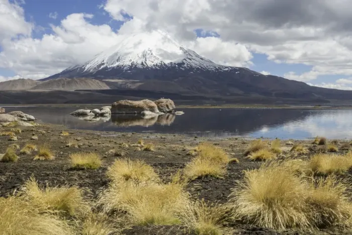 Framed Print : Lake Chungara and the Parinacota volcano, Putre, Arica and Parinacota Region, Chile Framed Print : Lake Chungara and the Parinacota volcano, Putre, Arica and Parinacota Region, Chile