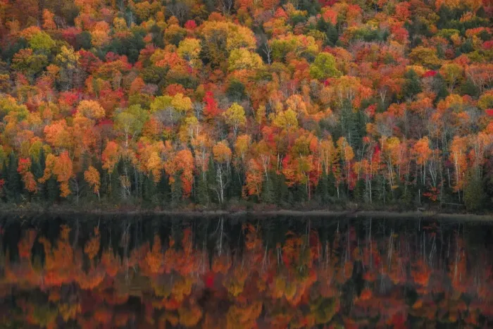 Framed Print : Lake of the Clouds Fall Color Reflections #1 Framed Print : Lake of the Clouds Fall Color Reflections #1