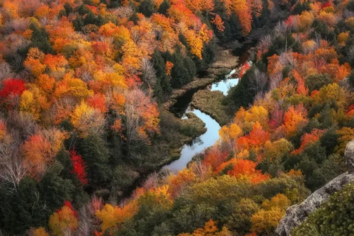 Framed Print : Lake of the Clouds in Peak Fall Color Framed Print : Lake of the Clouds in Peak Fall Color