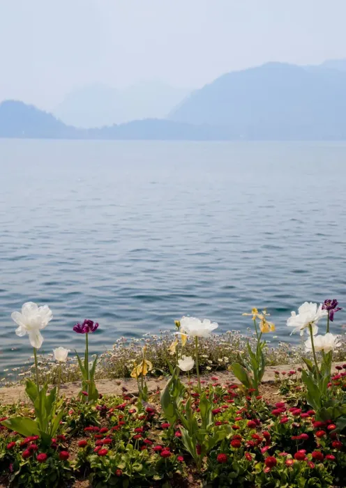Framed Print : Lake Como with grand villa gardens, perfectly blended into beautiful surroundings Framed Print : Lake Como with grand villa gardens, perfectly blended into beautiful surroundings