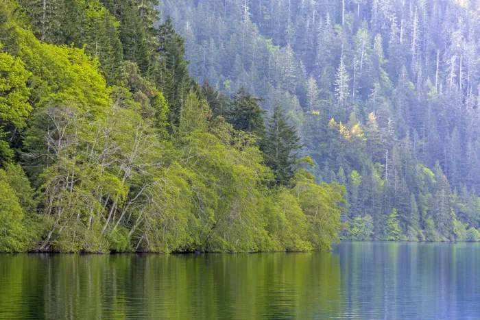 Framed Print : Lake Crescent landscape, Olympic National Park, Washington State, USA