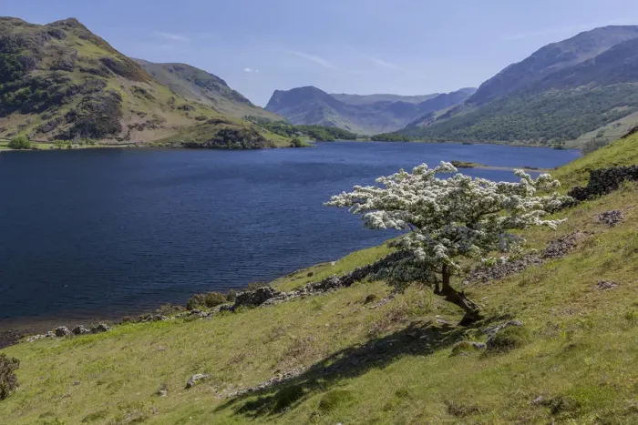 Framed Print : Lake of Crummock Water, Lake District National Park, Cumbria, England, United Kingdom Framed Print : Lake of Crummock Water, Lake District National Park, Cumbria, England, United Kingdom