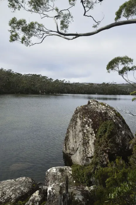 Framed Print : Lake Dobson, Mount Field National Park Framed Print : Lake Dobson, Mount Field National Park