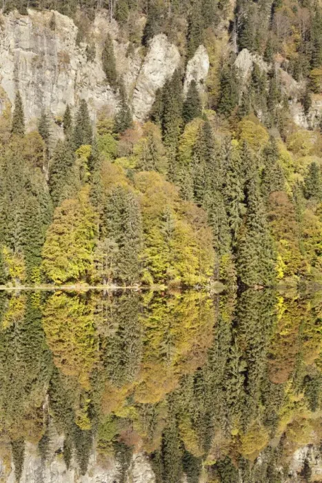Framed Print : Lake Feldsee and Feldberg mountain, Black Forest, Baden-Wurttemberg, Germany Framed Print : Lake Feldsee and Feldberg mountain, Black Forest, Baden-Wurttemberg, Germany