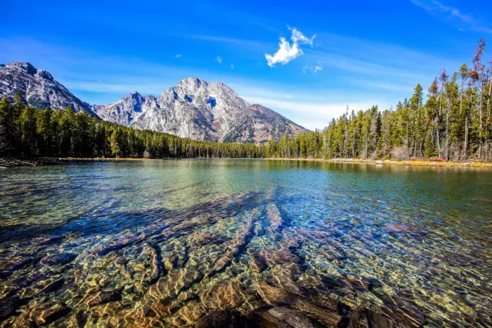 Framed Print : Lake in Front of Grand Teton Mountain