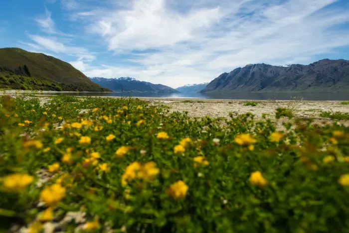 Framed Print : Lake Hawea in summer season