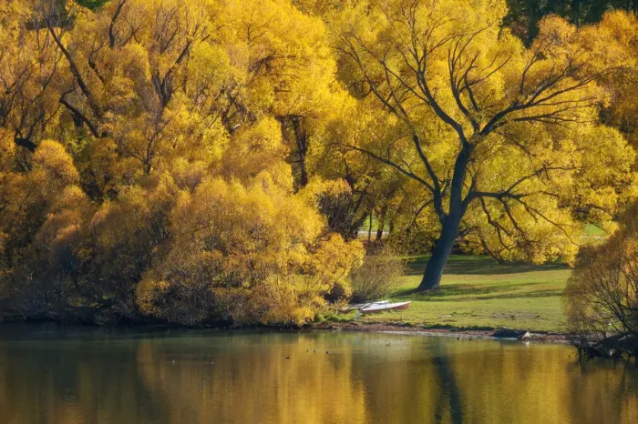 Framed Print : Lake Hayes in autumn season, New Zealand Framed Print : Lake Hayes in autumn season, New Zealand