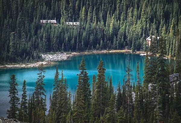 Lake O Hara, Yoho National Park, British Columbia, Canada