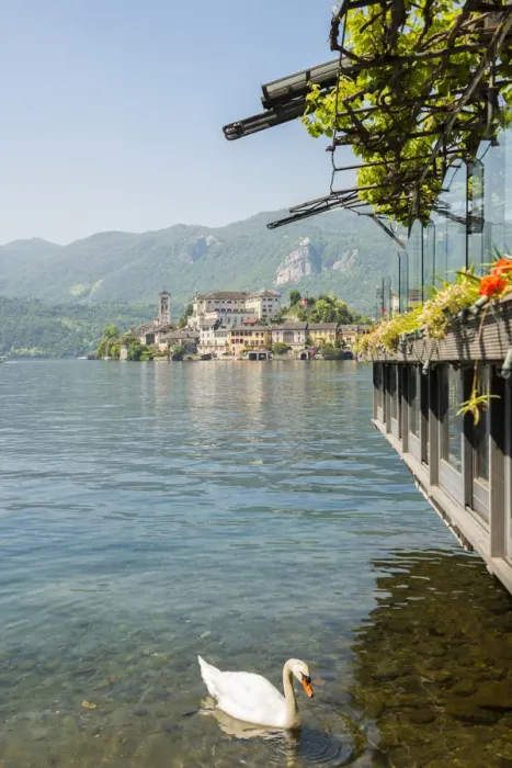 Framed Print : Lake Orta with a swan and island San Giulio in a sunny day in Piedmont, Italy Framed Print : Lake Orta with a swan and island San Giulio in a sunny day in Piedmont, Italy