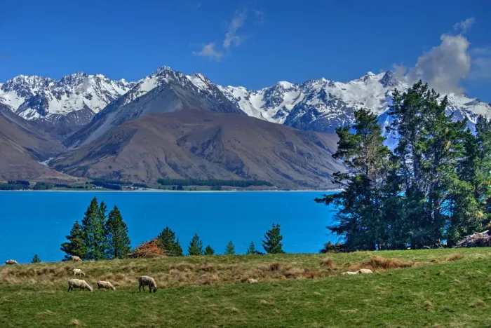 Framed Print : Lake Pukaki Framed Print : Lake Pukaki