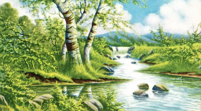Framed Print : Lake scene