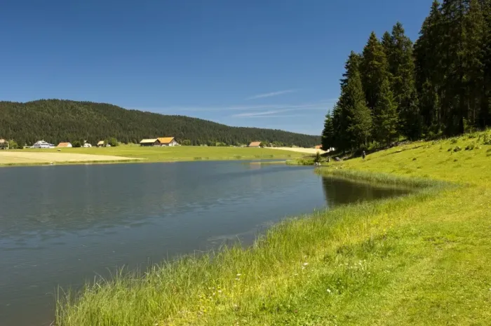 Framed Print : Lake Tailleres, Lac des Tailleres in summer, in the Vallee de la Brevine, La Brevine Valley, Neuchatel Jura, Switzerland, Europe Framed Print : Lake Tailleres, Lac des Tailleres in summer, in the Vallee de la Brevine, La Brevine Valley, Neuchatel Jura, Switzerland, Europe