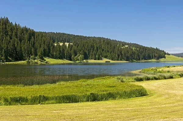 Lake Tailleres, Lac des Tailleres in summer, in the Vallee de la Brevine, La Brevine Valley, Neuchatel Jura, Switzerland, Europe