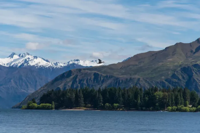 Framed Print : Lake Wanaka, Otago, New Zealand Framed Print : Lake Wanaka, Otago, New Zealand