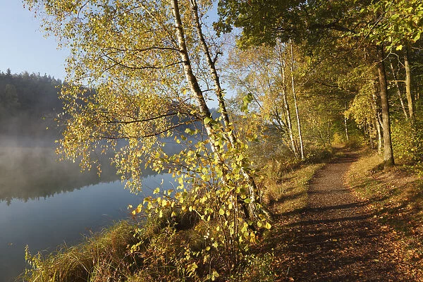 Lakeside path along Lake Ellertshaeuser, Schweinfurter Land district, Lower Franconia, Franconia, Bavaria, Germany, Europe