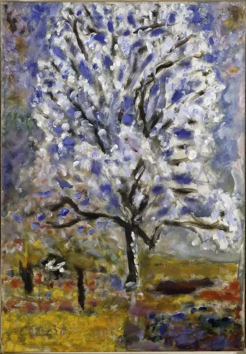 Framed Print : Lamandier En Fleurs The Almond Tree In Blossom Framed Print : Lamandier En Fleurs The Almond Tree In Blossom