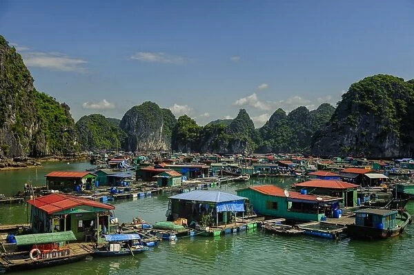 Lan ha bay, Vietnam