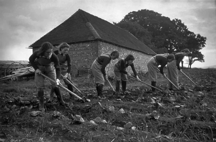 Framed Print : Land Girls Framed Print : Land Girls