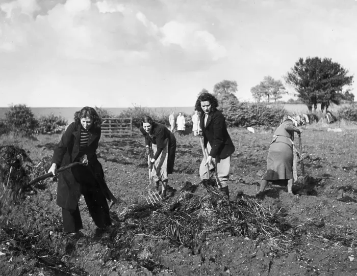 Framed Print : Land Girls Framed Print : Land Girls