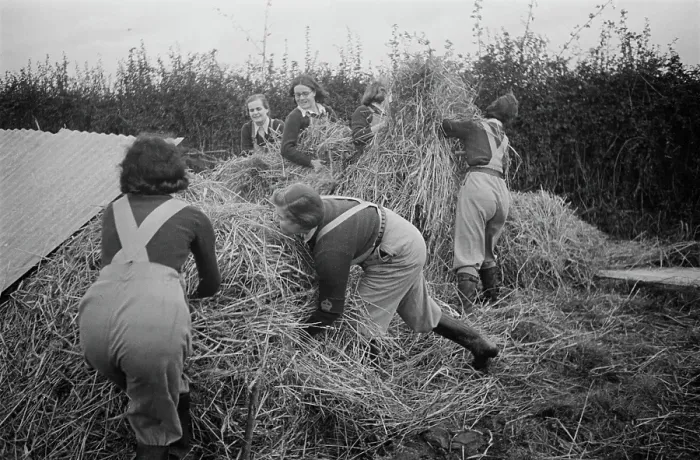 Framed Print : Land Girls At Work Framed Print : Land Girls At Work