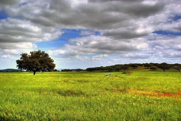 Landscape. Field on landscape at spring, Elvas, Portugal