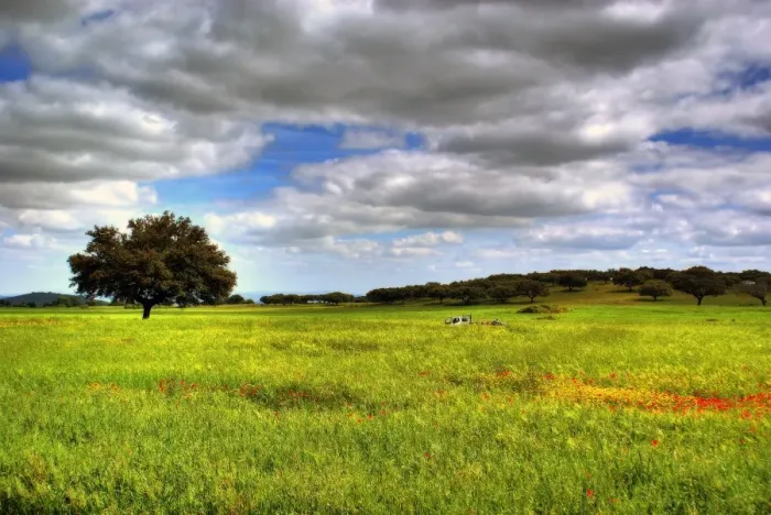Framed Print : Landscape. Field on landscape at spring, Elvas, Portugal Framed Print : Landscape. Field on landscape at spring, Elvas, Portugal
