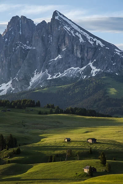 Landscape of Alpe di Siusi on summer